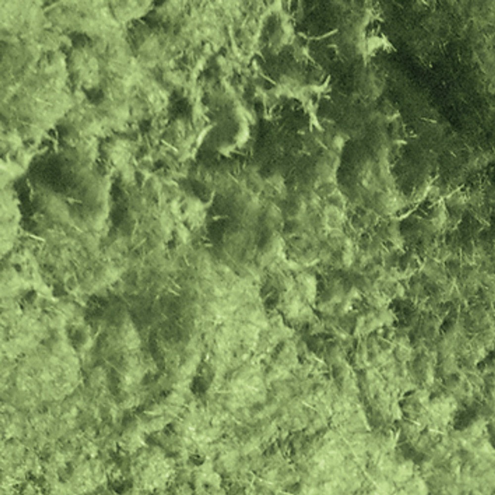 Moss Effect Paste | Light Green 100ml | Pentart | Mixed Media & DIY