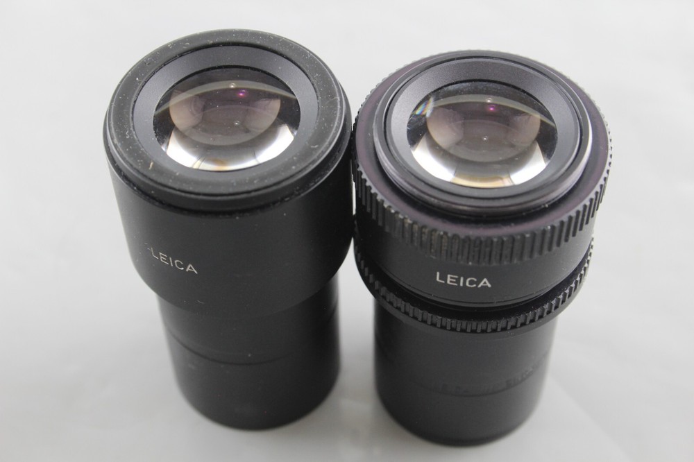 Pair Leica L Plan 10x 20 Microscope Eyepieces Linear Measurement Reticle