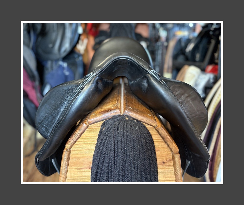 Arion 4D Dressage Saddle. 17” MW