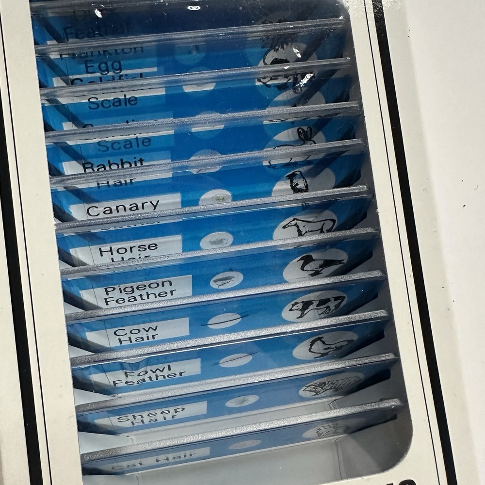 Vintage 70s Twig Identification Kit Tree Microscope Slides Nature