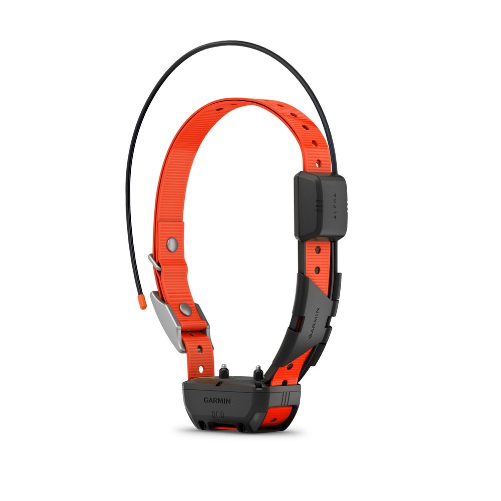Garmin TT25 Dog Collar - Orange