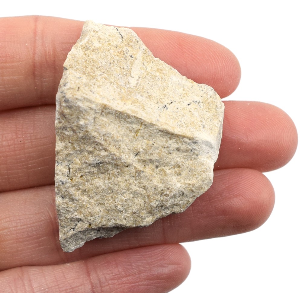 6PK Raw Travertine Rock Specimens, 1" - Geologist Selected - Eisco Labs