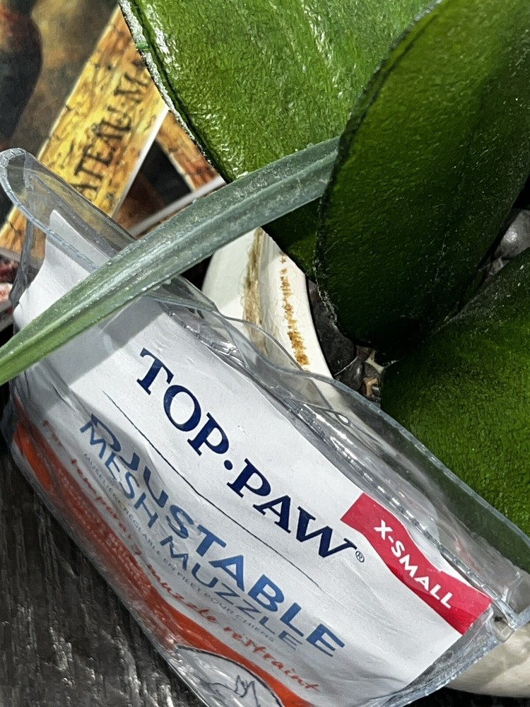 🐶Top Paw Muzzle Adjustable Mesh Muzzle Size X-Small 7-12 lbs Nose 4inches 🐶