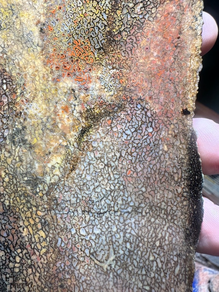 Dinosaur bone rough **hxtled slab.