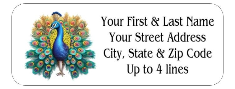 150 Peacock Pretty Colorful  Return Address Labels Personalized Printed