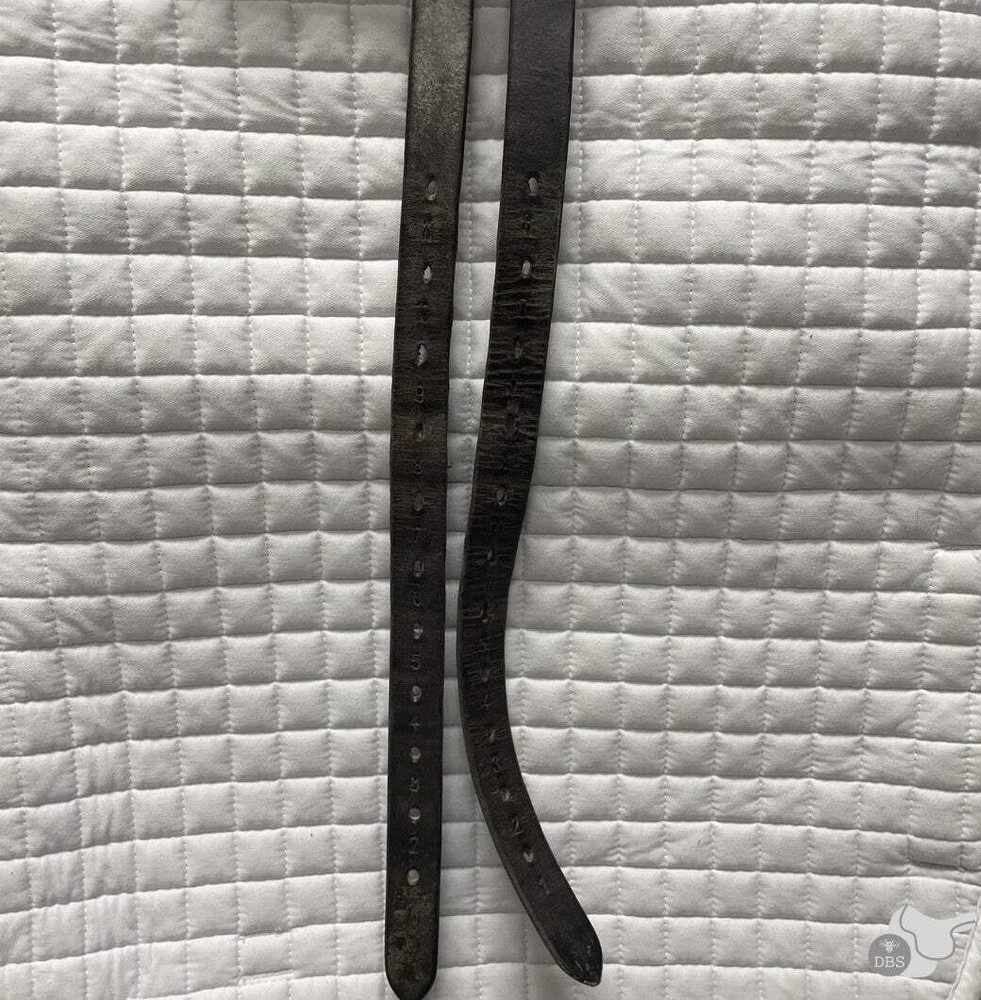 Prestige 17" M DX Jumping Saddle