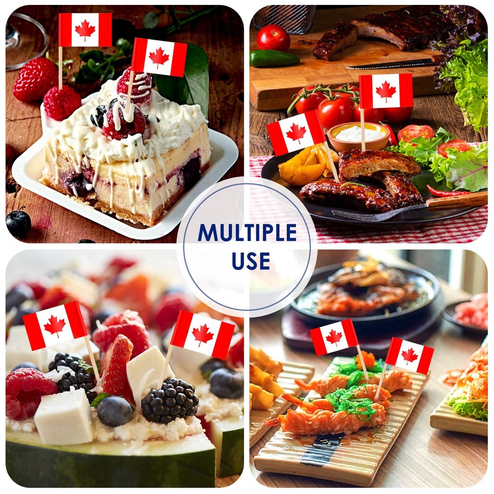 AhfuLife Different Countries Toothpick Flag, 100 Pcs Mini 100 Pcs, Mixed