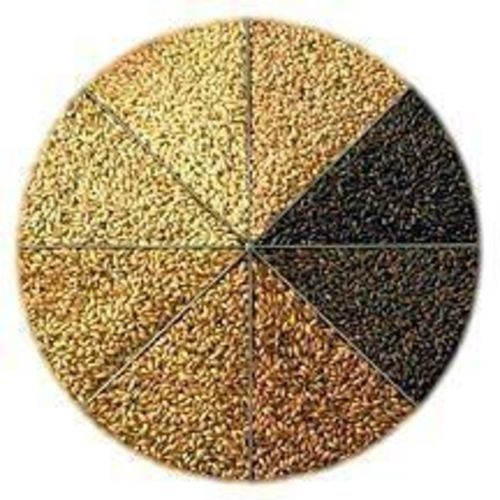 HONEY MALT Homebrew Beer Sweet Golden Choose Unmilled or Crushed Per Pound