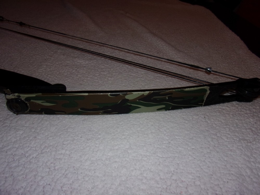 Bear Archery Compound Bow