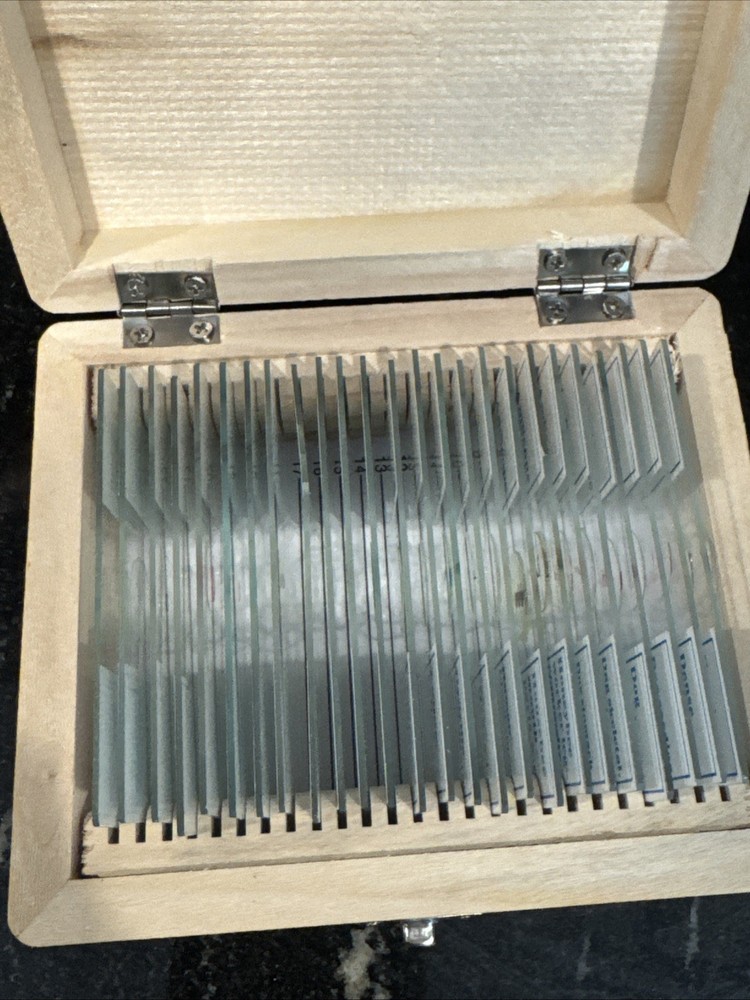 AmScope PS25W Prepared Slides