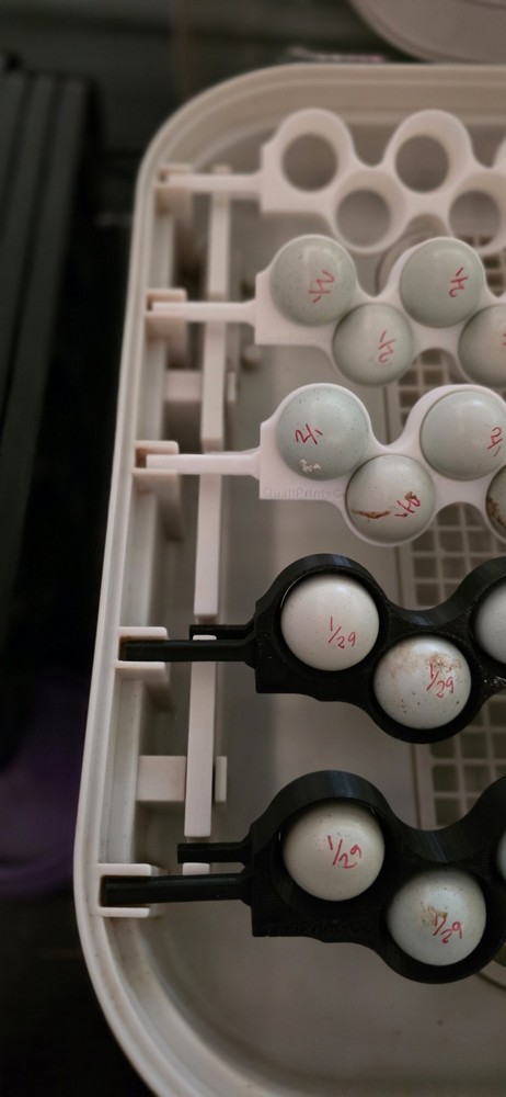 Quail Egg Racks (5) for 30 Egg MaticoopX Incubator – 3D Printed Racks