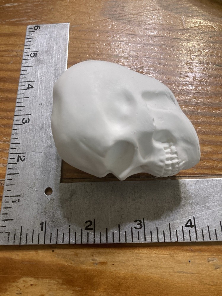 Human Skull Model Solid Plaster Small 3"x 2"x 3" Qty=3🔥🔥🔥🔥🔥🔥