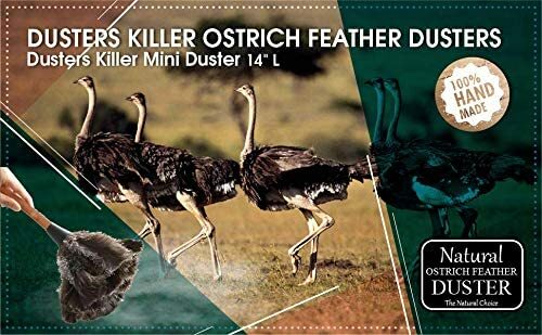 12 Pack (One Dozen) Retractable Ostrich Feather Duster 12" to 16"