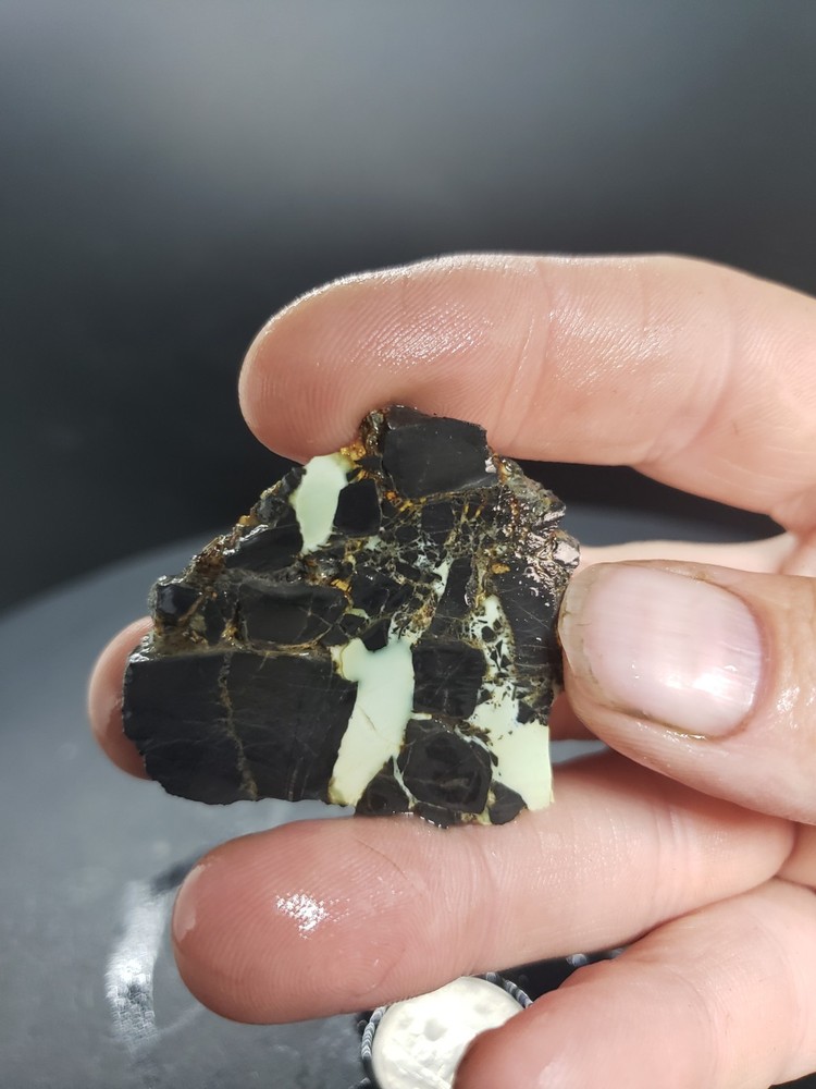 Nevada Gecko Variscite Slabs