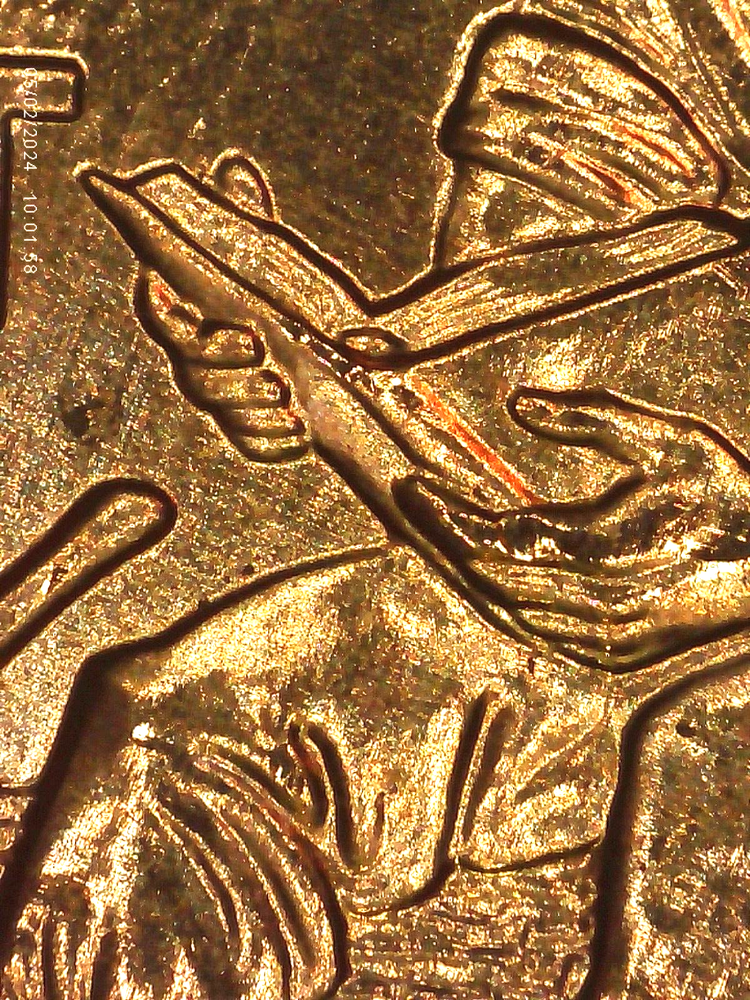 2009 P BU FY DOUBLED DIE REVERSE ERROR WDDR-010