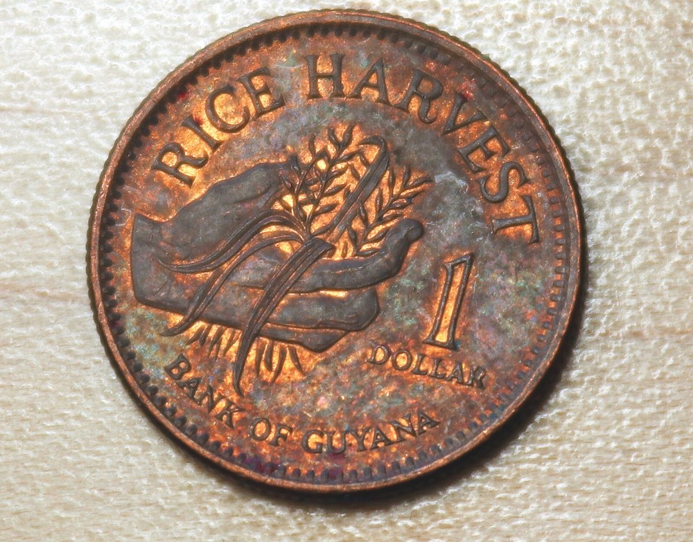1996 Guyana 1 Dollar
