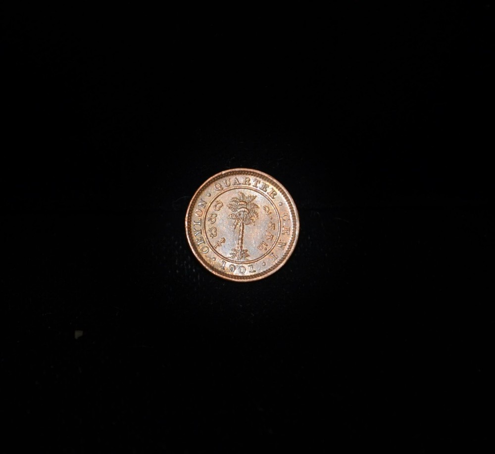 1901 Ceylon 1/4 Cent KM 90 #EB15059