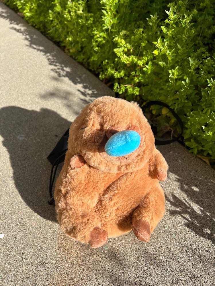 Capybara Snore Chalk Bag