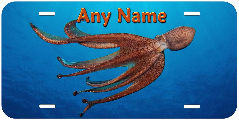 Octopus Any Name Personalized Novelty Car License Plate