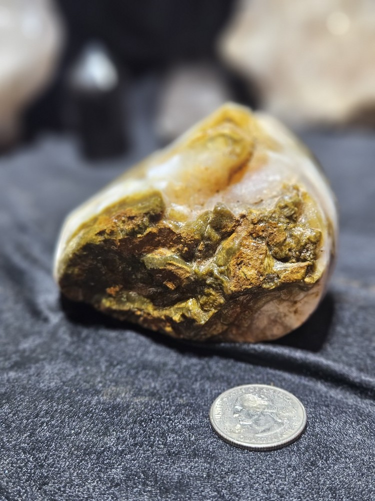 Petrified Wood Opalized Multicolored Polished Specimen (8.4oz)