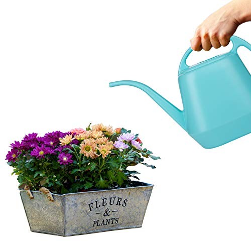 Plastic Watering Can, Bright Blue, 1-Gallon