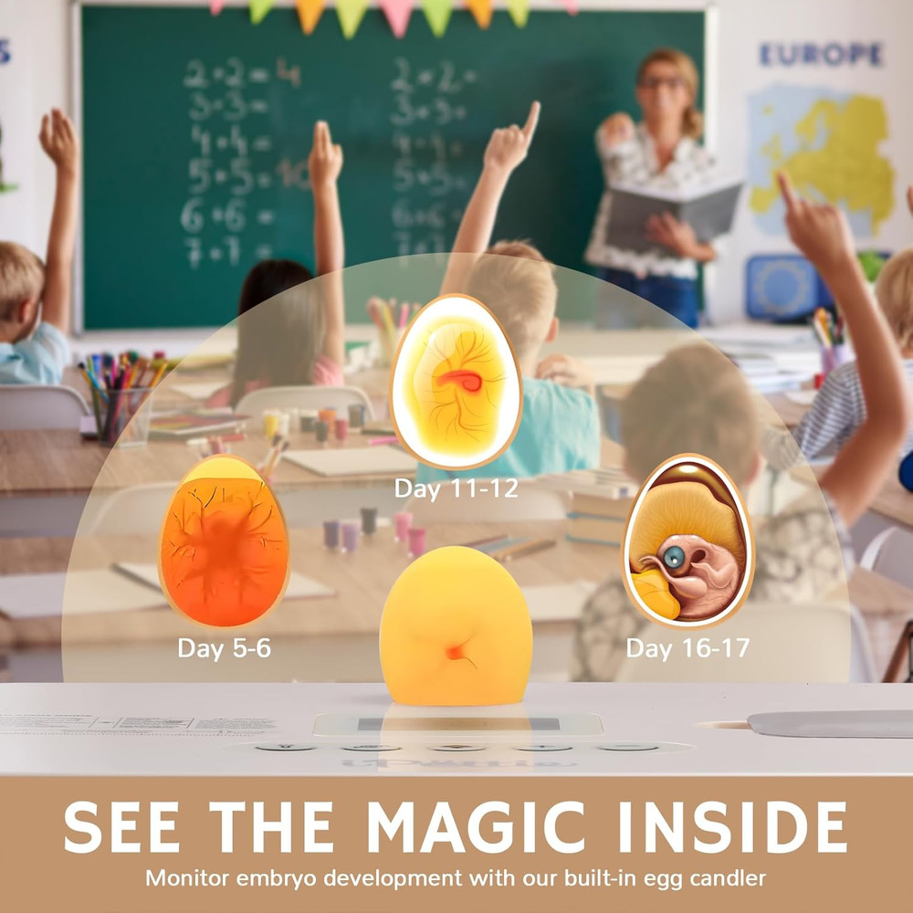 Nestasy Prohatch56 Automatic Egg Incubator with Temp Control & 56 Egg Capacity