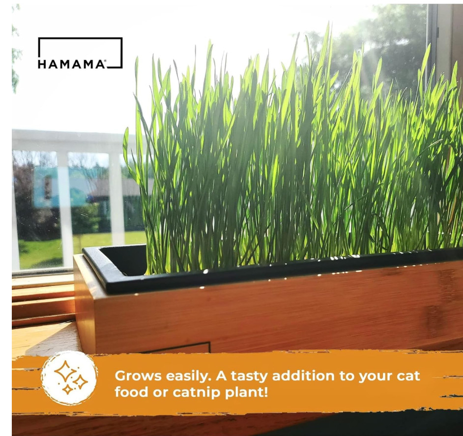 Microgreens Growing Kit
