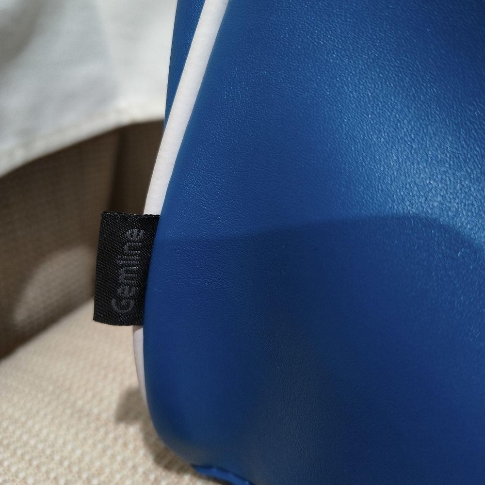 Delta Airlines Airline Bag