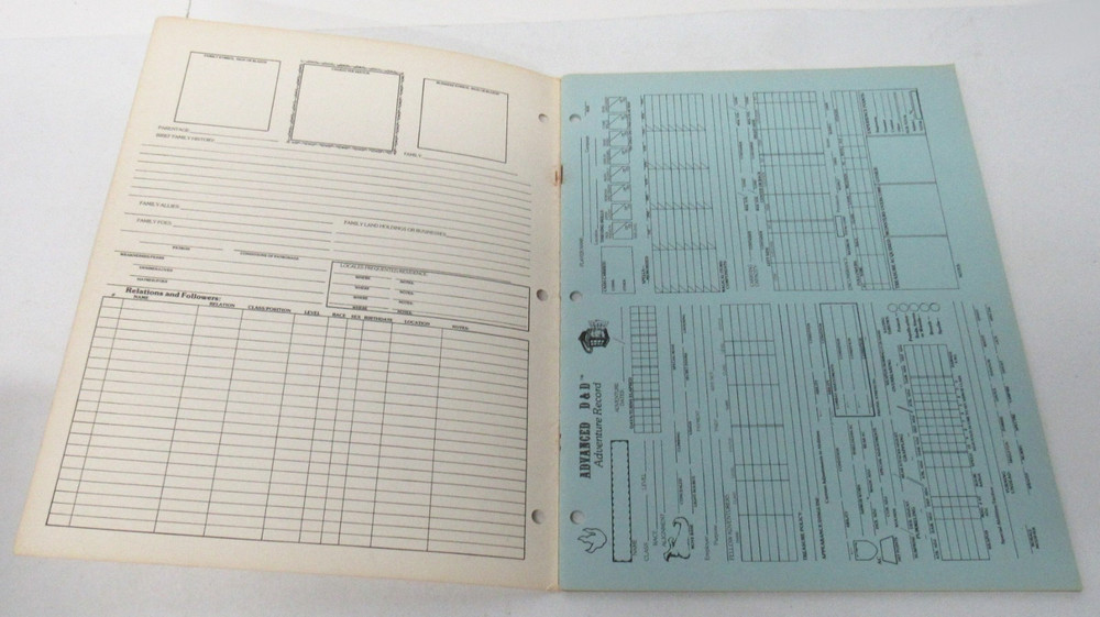 TSR 9029 RARE PINK Advanced D&D Permanent Character Folder & Adventure Log 1979