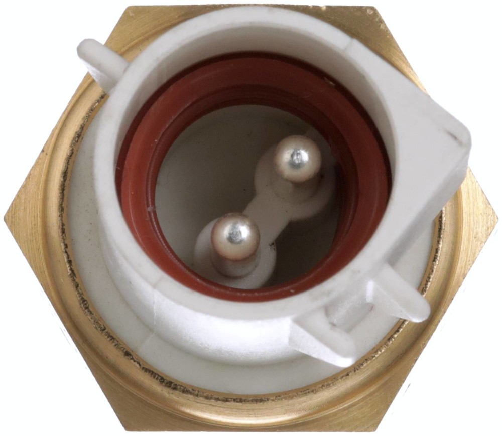 Air Charge Temperature Sensor Delphi TS10557