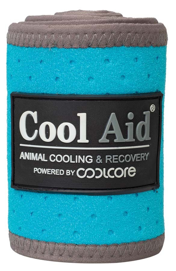 Coolcore Cooling Polo Wraps, Turquoise, Large