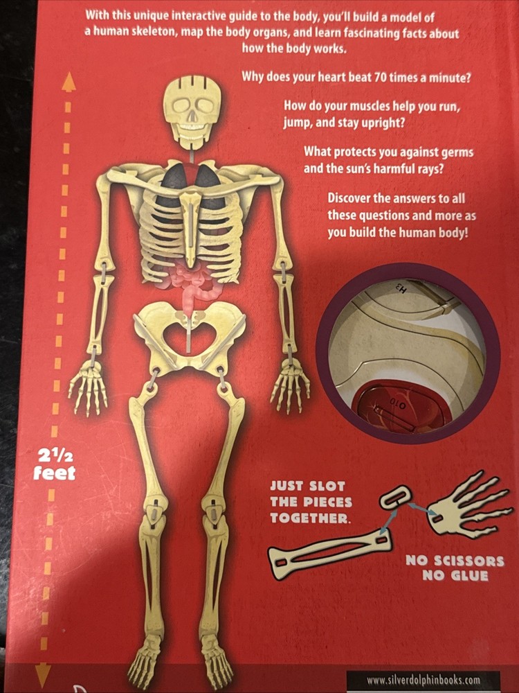 Build The human body- Build A Skeleton