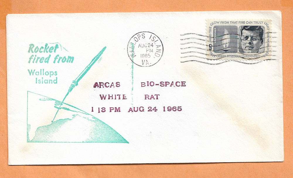 ROCKET FIRED FROM WALLOPS ISLAND ARCAS BIO SPACE WHITE RAT AUG 24,1965  SPACE