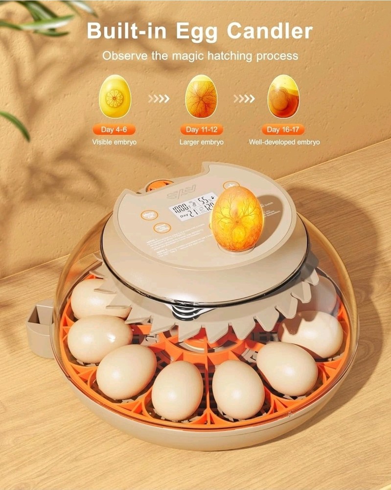 Innsky Incubators for Hatching Eggs,12 Egg Incubator with Automatic Egg...