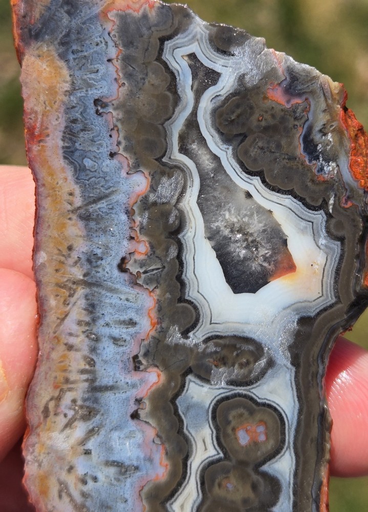 Turkish Agate Slabs Slices From Two Stones Matching Lapidary Unique