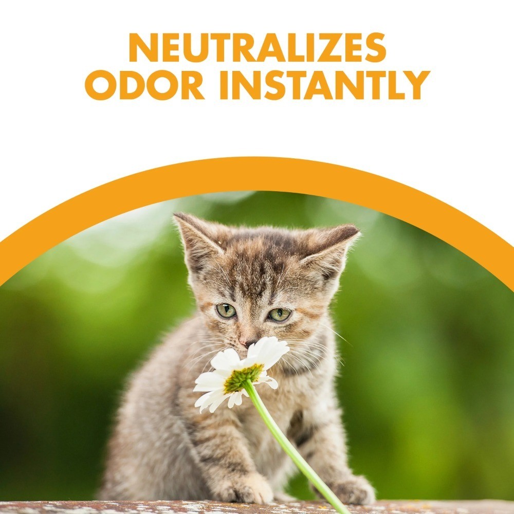 Original 100% Natural Cat Litter, 20 lb
