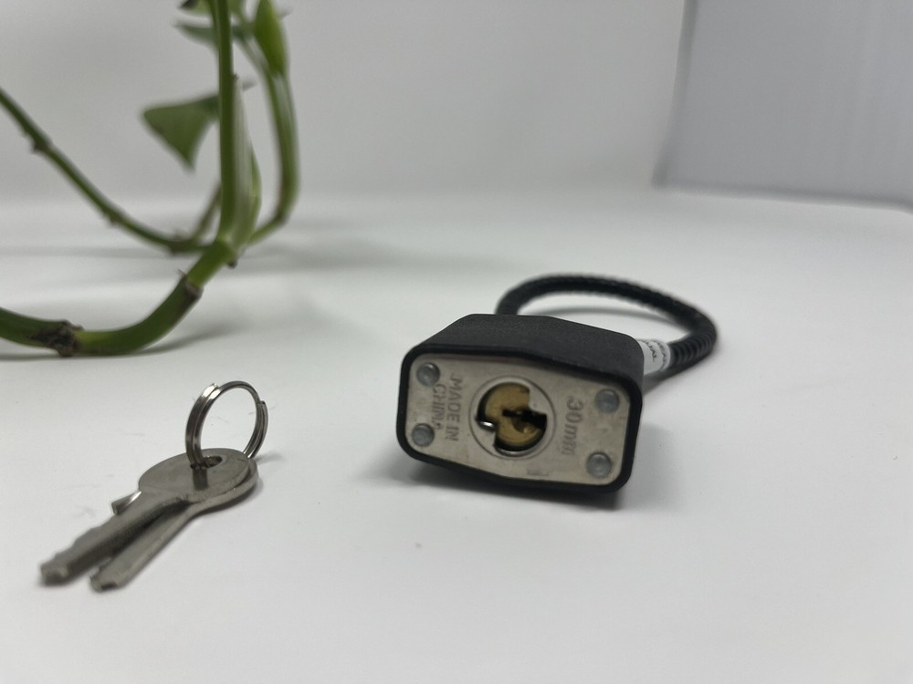 Cable Gun Lock