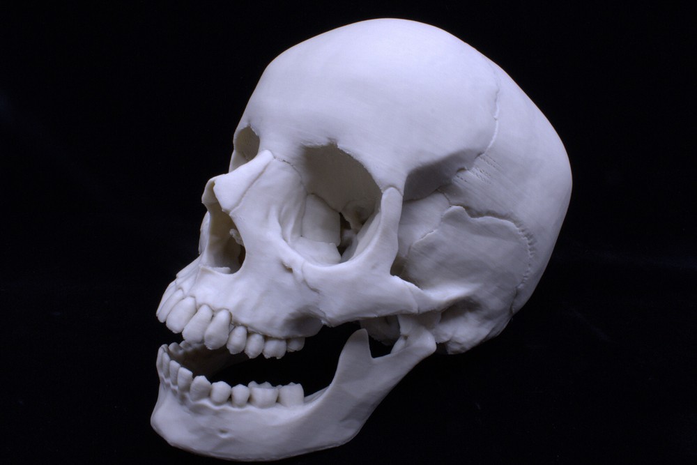 3D Printed Anatomically Correct Skull!
