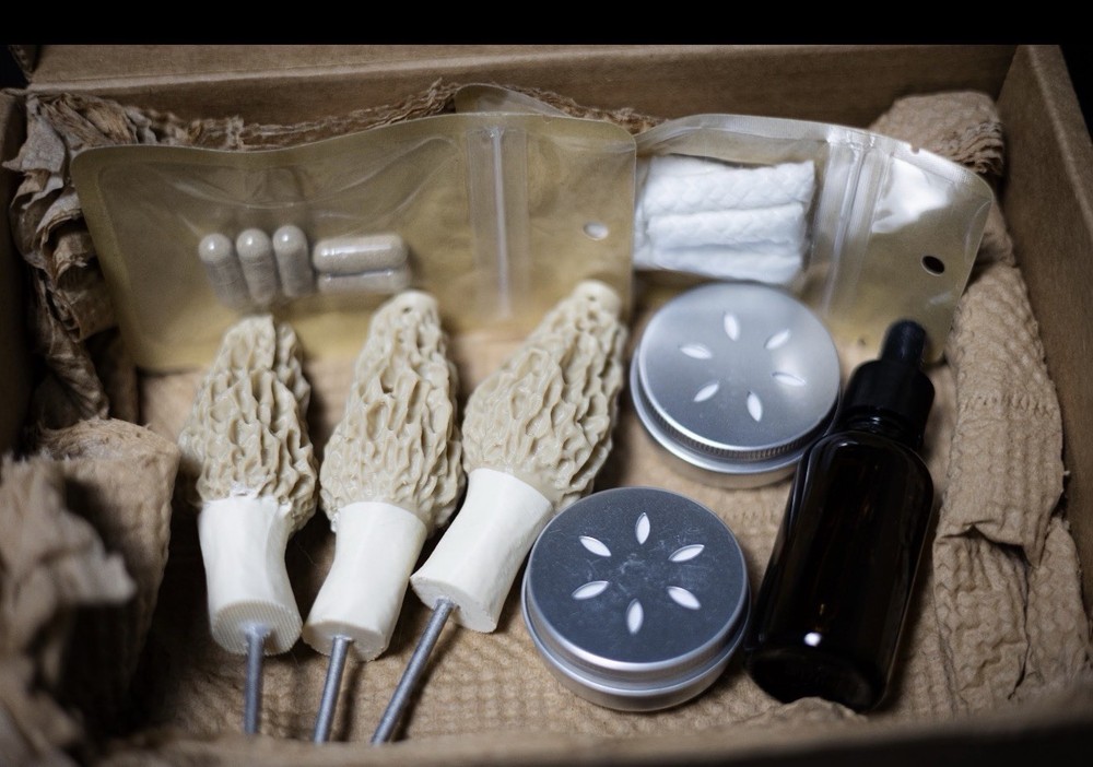 Morel Mushroom Detection Kit
