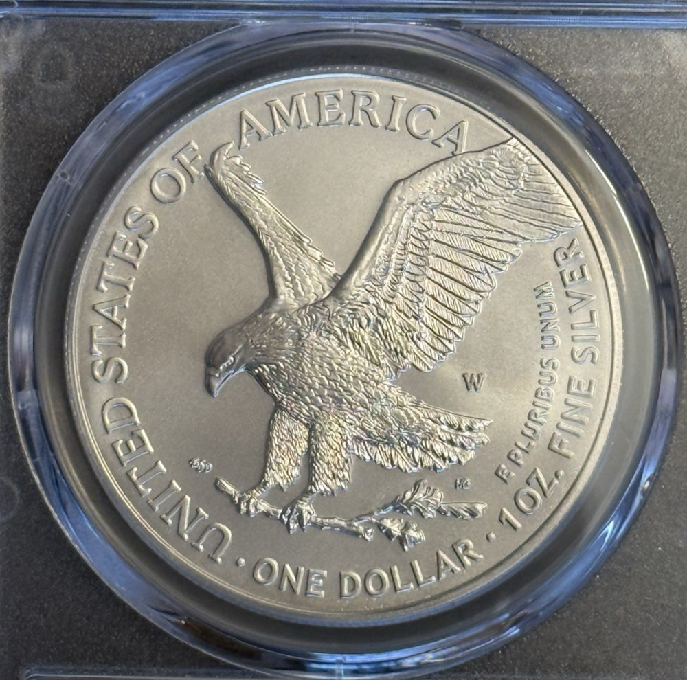 2022-W Burnished Silver Eagle PCGS SP69 FIRST STRIKE (Flag Label)