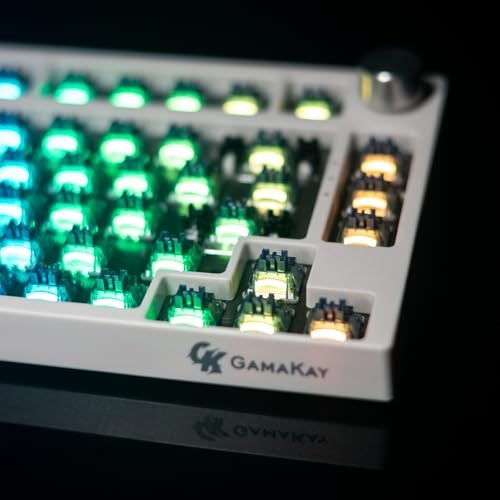 Pegasus Tactile Silent Keyboard Switch with LED Pegasus V2 Switch-70Pcs