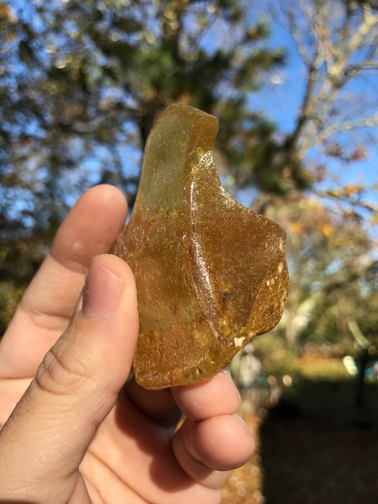 Baltic Amber