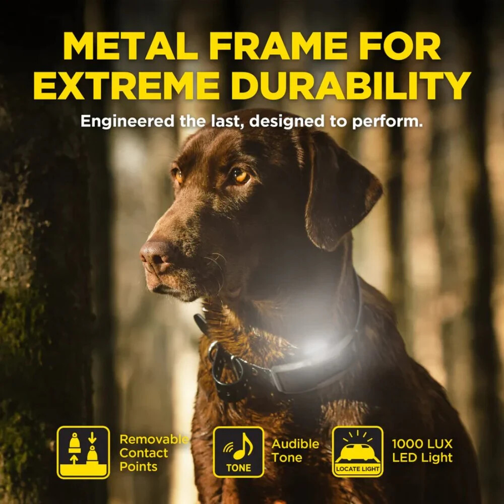 Dogtra 1900X Remote Training E-Collar – Next-Gen E-Collar with Unrivaled Perform