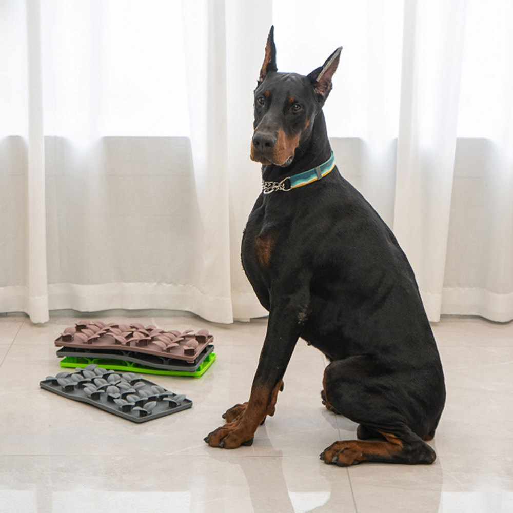 Small Dog Ear Stand up Support Standing Kit for Puppies Patch