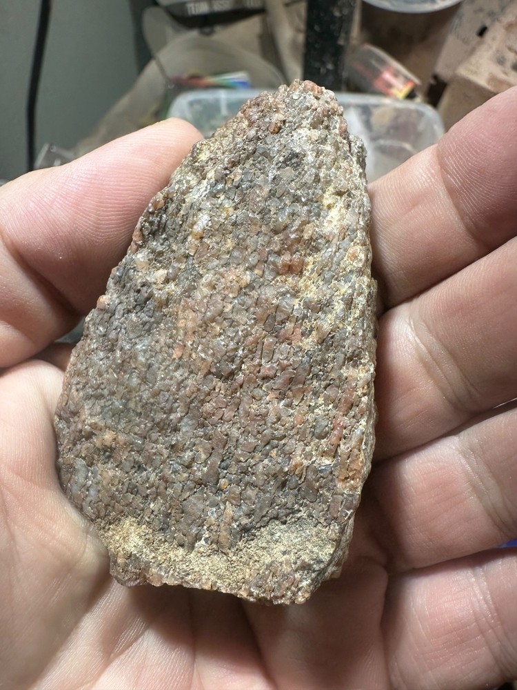 Dinosaur bone rough **hxtled end cut