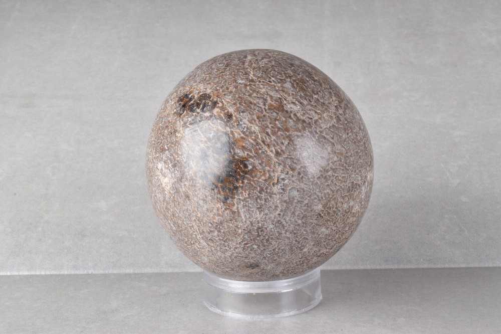Large Dinosaur Bone Sphere from Morocco 7.7 cm # 21479