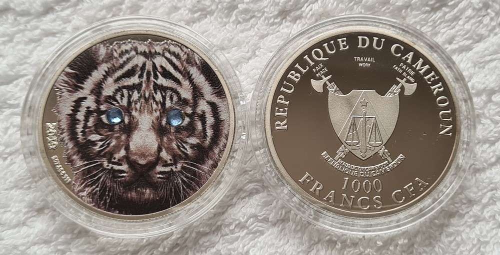 Wild Cat Cameroon /1-0301