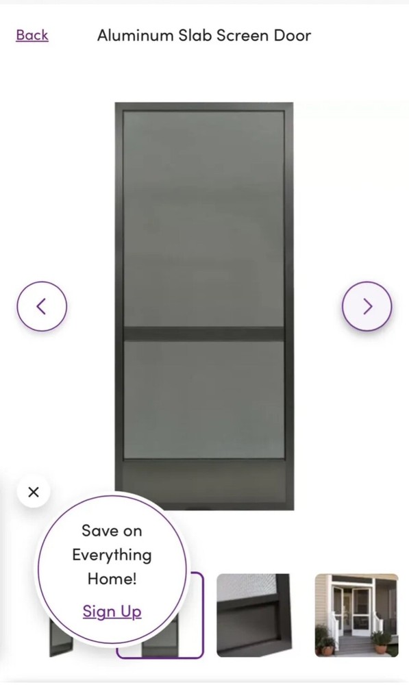 SCREEN DOOR WITH FRAME AND HINGES