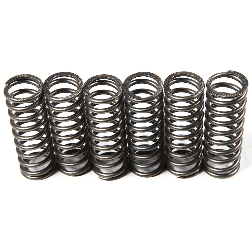 EBC CSK Clutch Spring Kit - CSK119