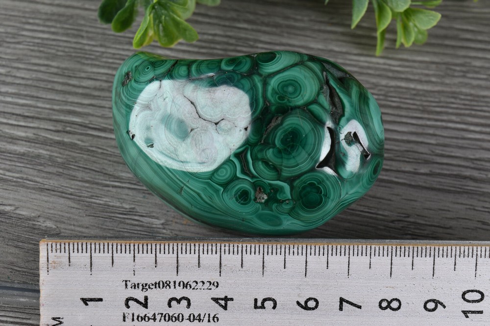 Polished Botryoidal Malachite from Congo 7.4 cm # 21897